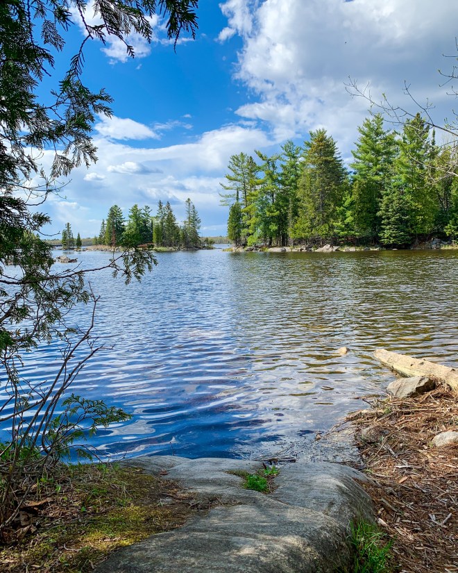 Morris Island Conservation Area
